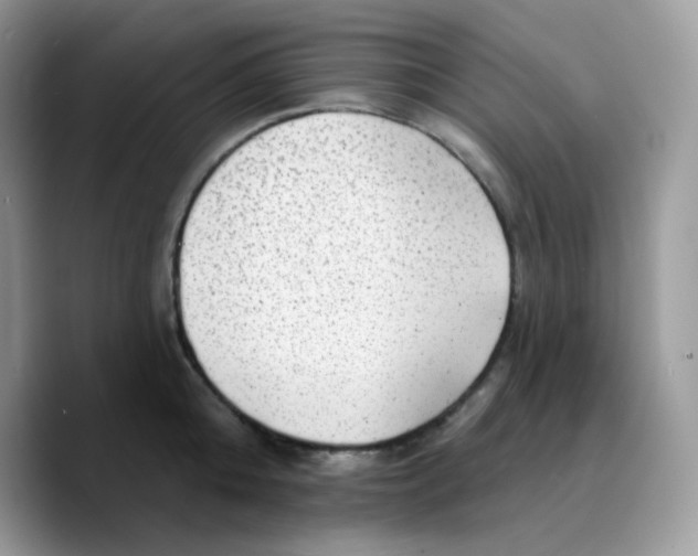 X0000089760808200707201941