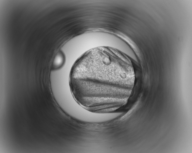 X0000089760809200707201941