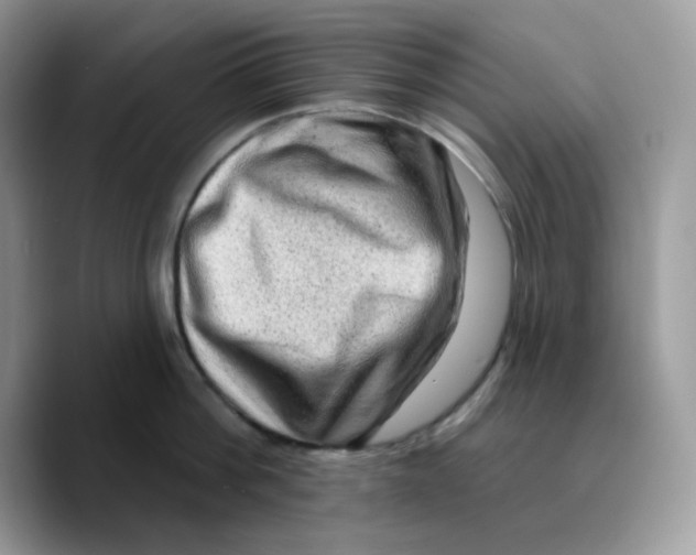 X0000089760812200707201941