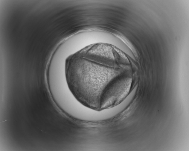 X0000089760813200707201941