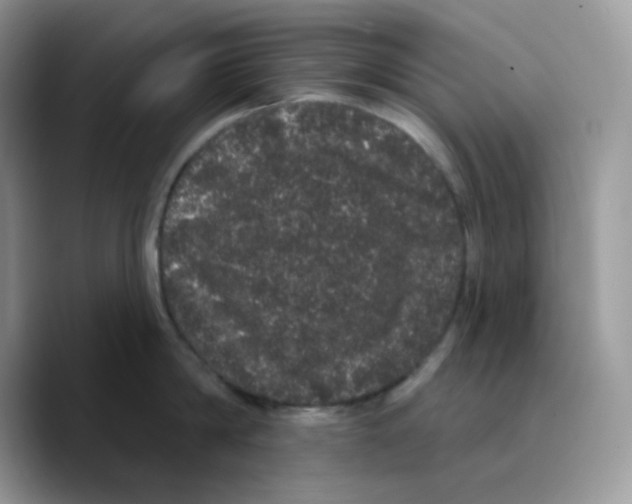 X0000089760814200707201941
