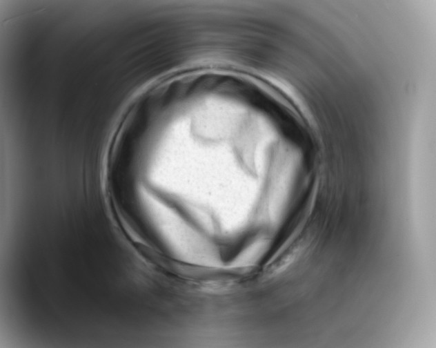 X0000089760815200707201941