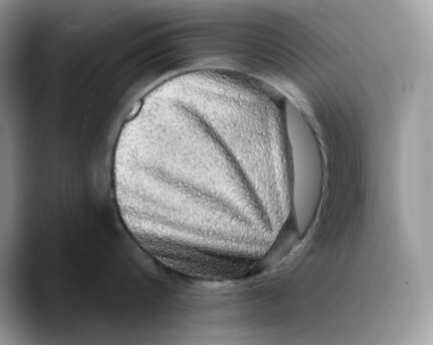X0000089760816200707201941