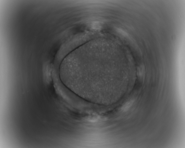X0000089760818200707201940