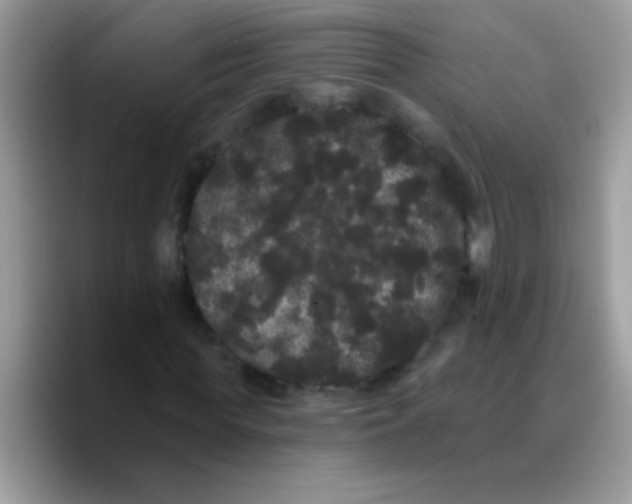 X0000089760819200707201940