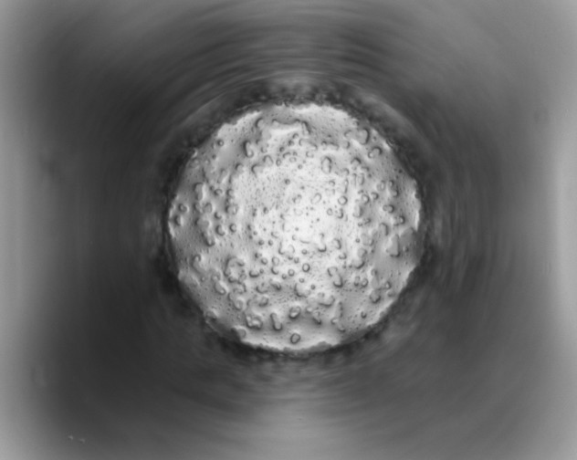 X0000089760821200707201940