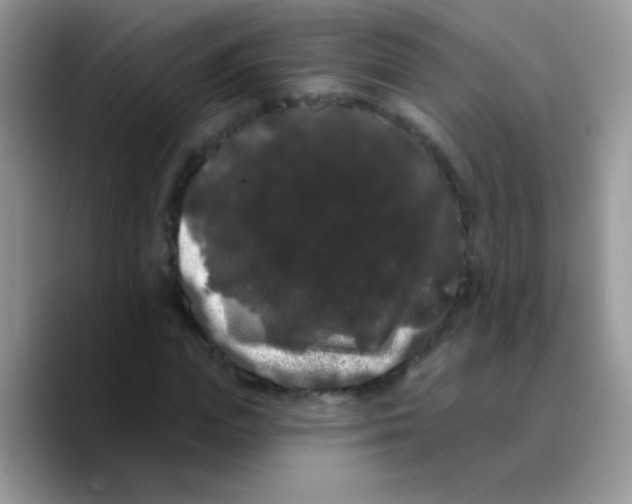 X0000089760823200707201940