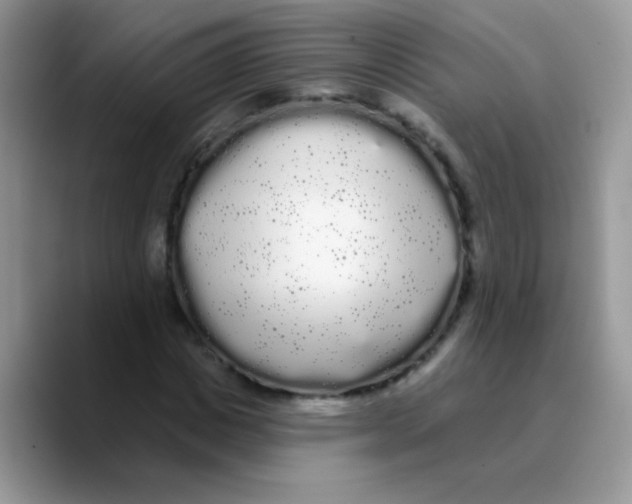 X0000089760825200707201940