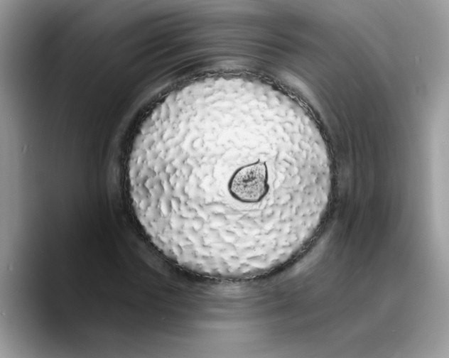 X0000089760827200707201940