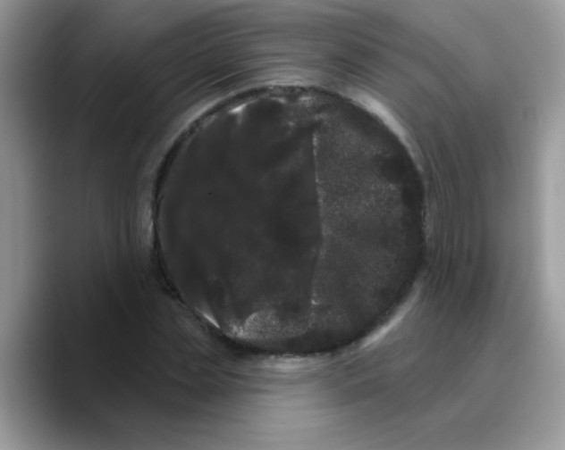X0000089760829200707201940