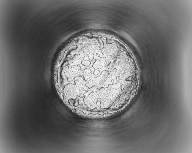 X0000089760831200707201940