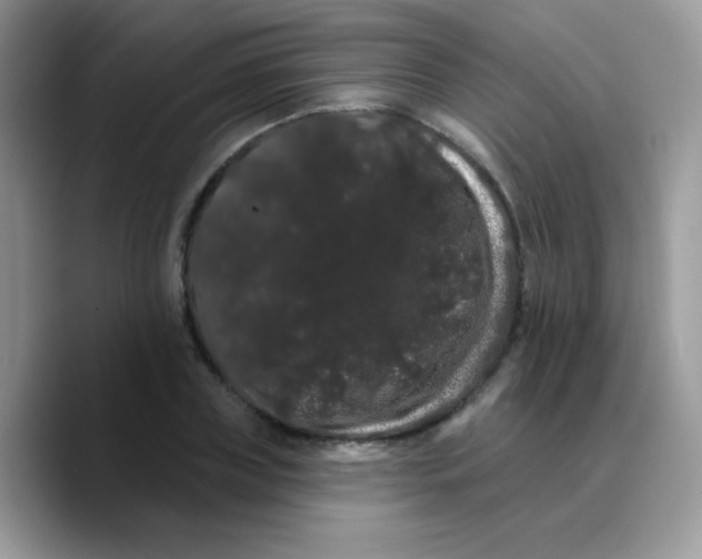 X0000089760835200707201941