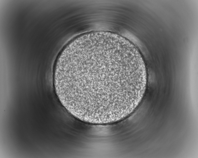X0000089760836200707201941