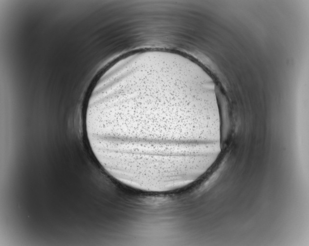 X0000089760838200707201941