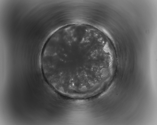 X0000089760839200707201941