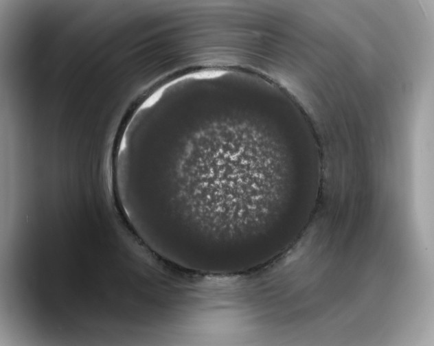 X0000089760840200707201941
