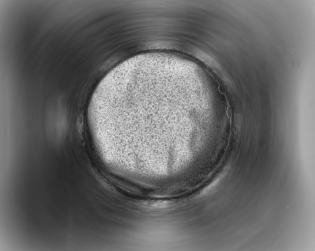 X0000089760841200707201941
