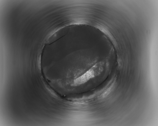 X0000089760842200707201941