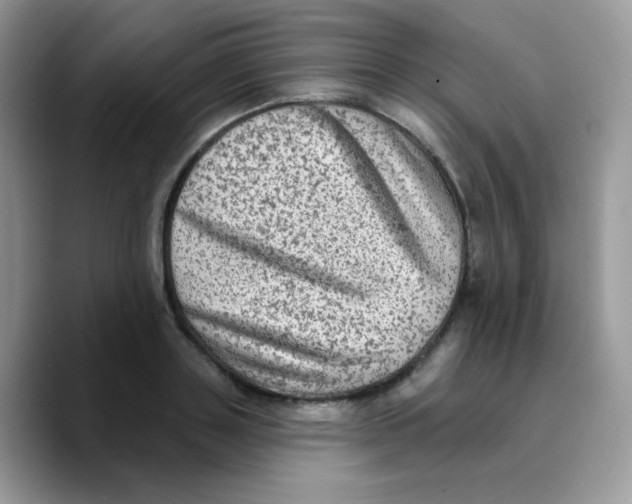 X0000089760843200707201941