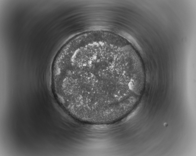 X0000089760844200707201941