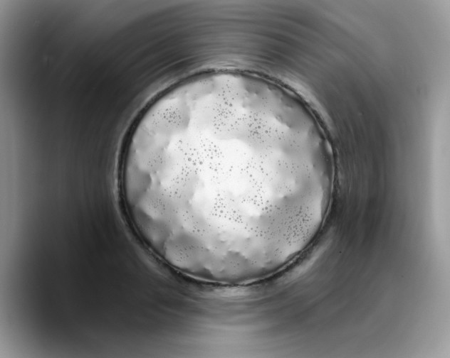X0000089760845200707201941