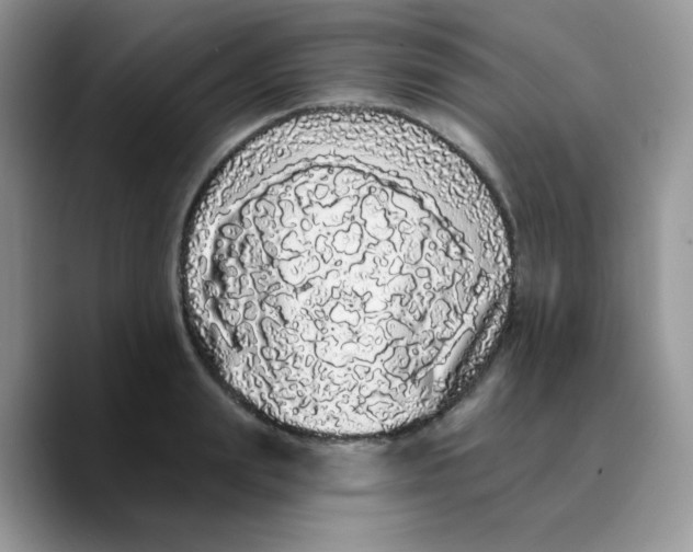 X0000089760847200707201941