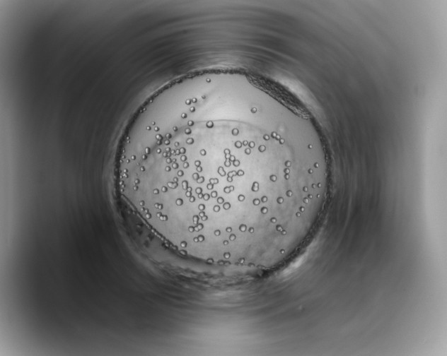 X0000089760850200707201941