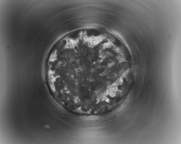 X0000089760851200707201941