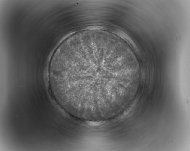 X0000089760852200707201941