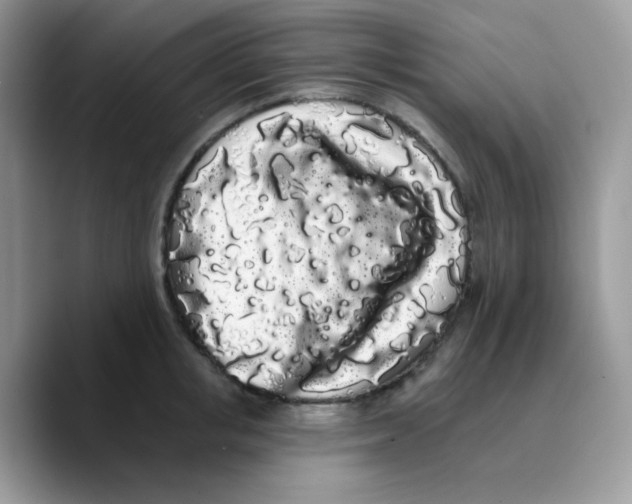 X0000089760853200707201941