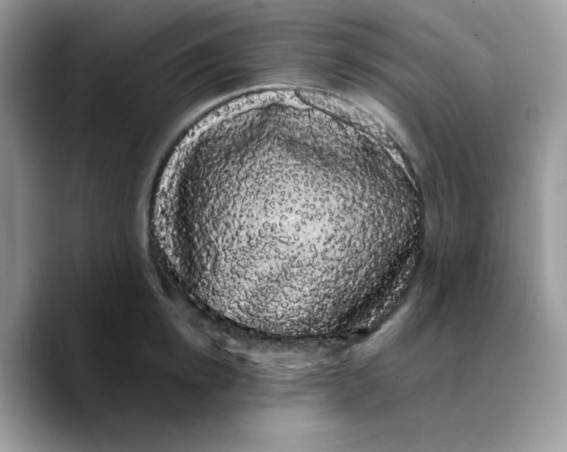 X0000089760854200707201941