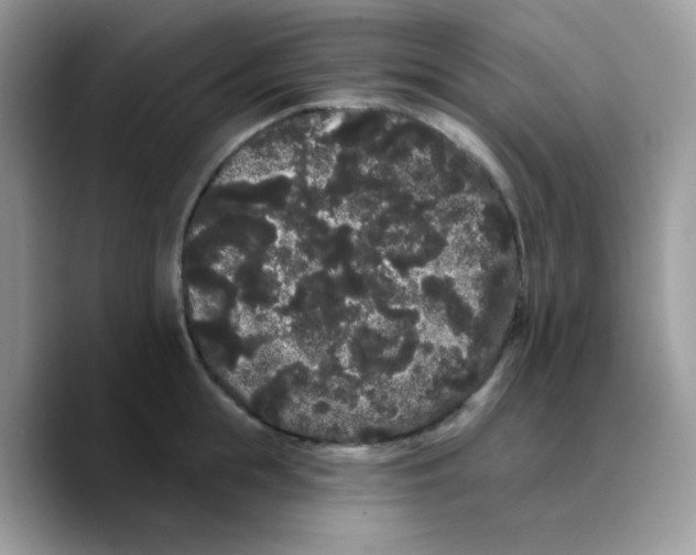 X0000089760855200707201941