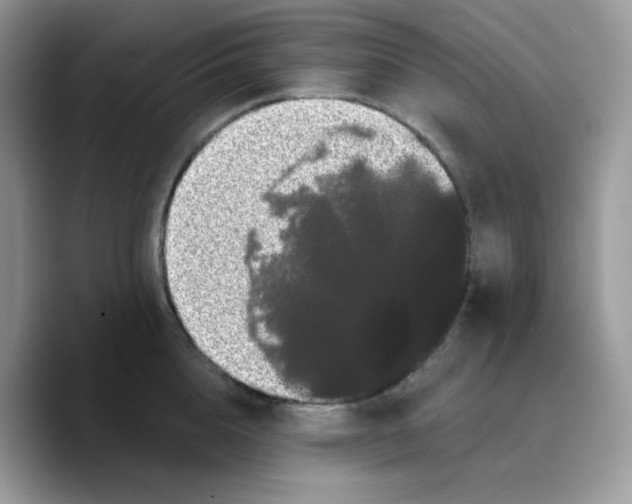 X0000089760856200707201941