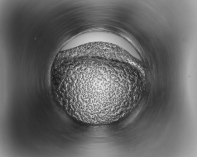 X0000089760858200707201941