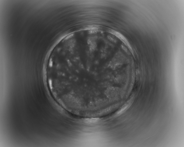X0000089760859200707201941