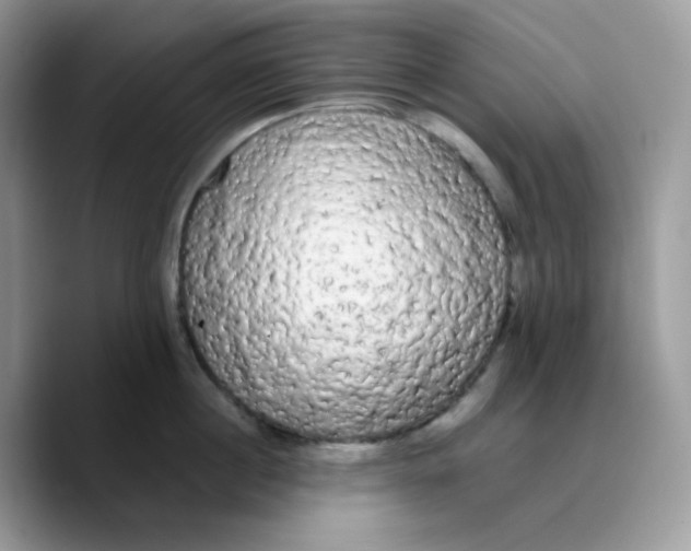 X0000089760860200707201941