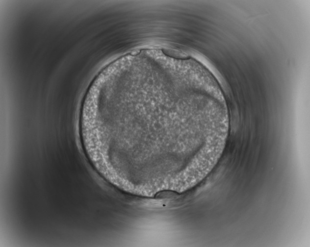 X0000089760861200707201941