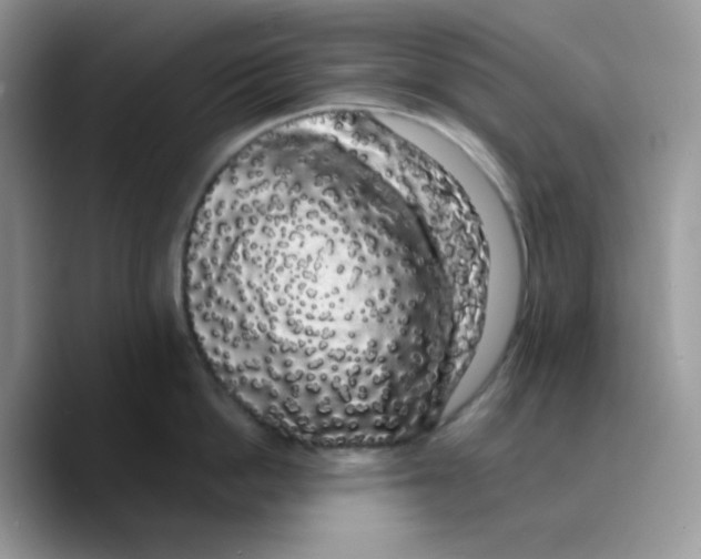 X0000089760862200707201941