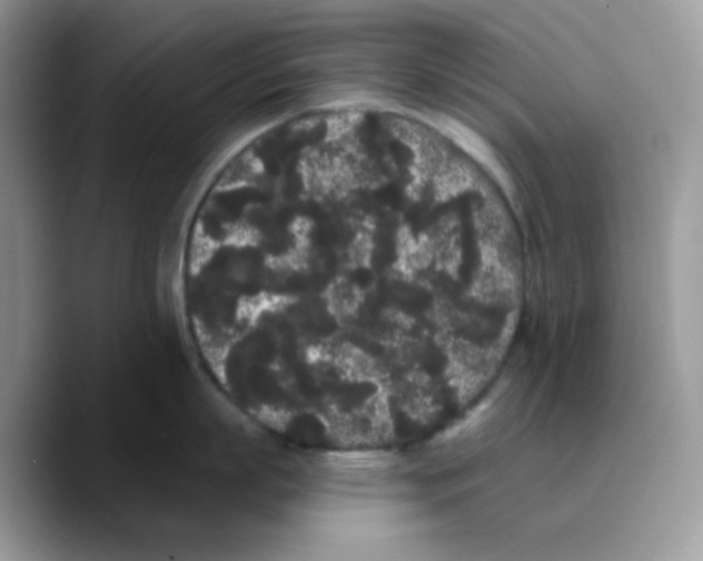 X0000089760863200707201941