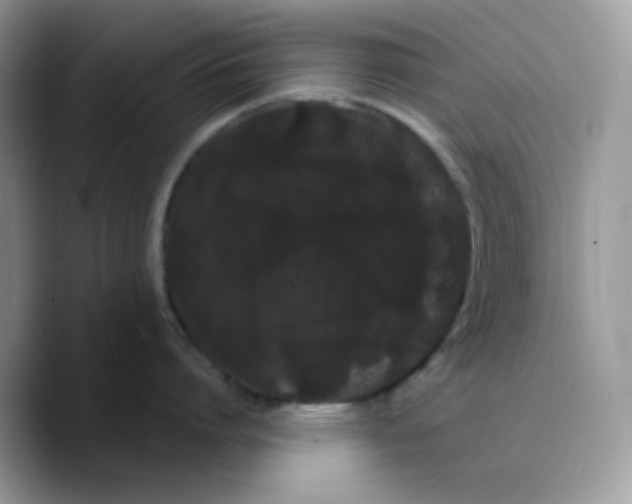 X0000089760864200707201941