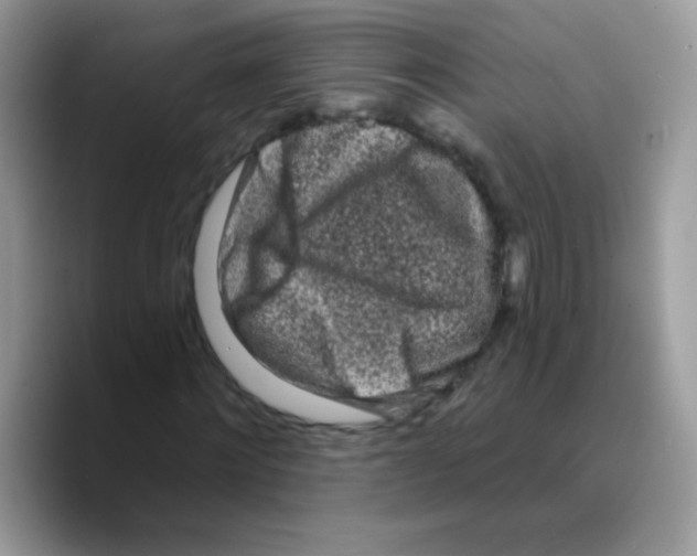 X0000089760868200707201940