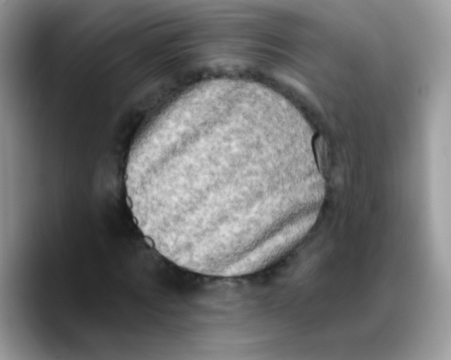 X0000089760869200707201940
