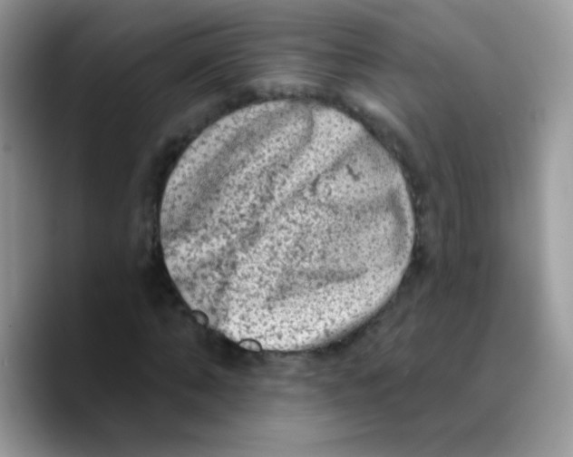 X0000089760870200707201940