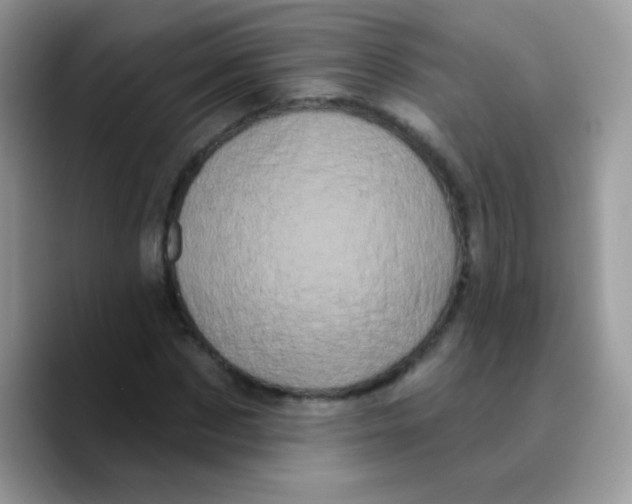 X0000089760873200707201940