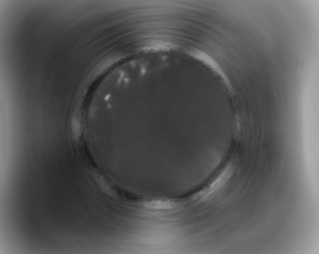 X0000089760874200707201940