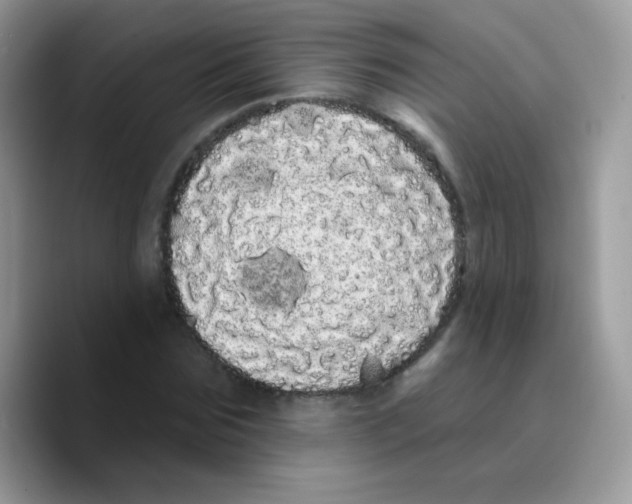 X0000089760875200707201940