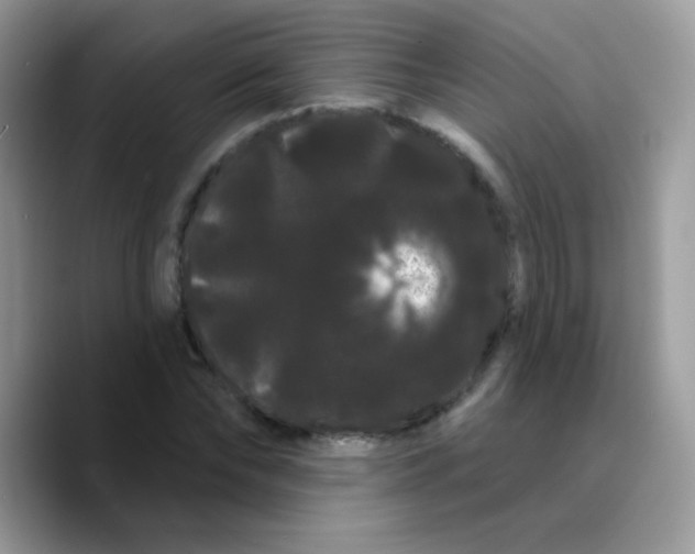X0000089760878200707201940