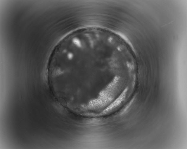 X0000089760879200707201940