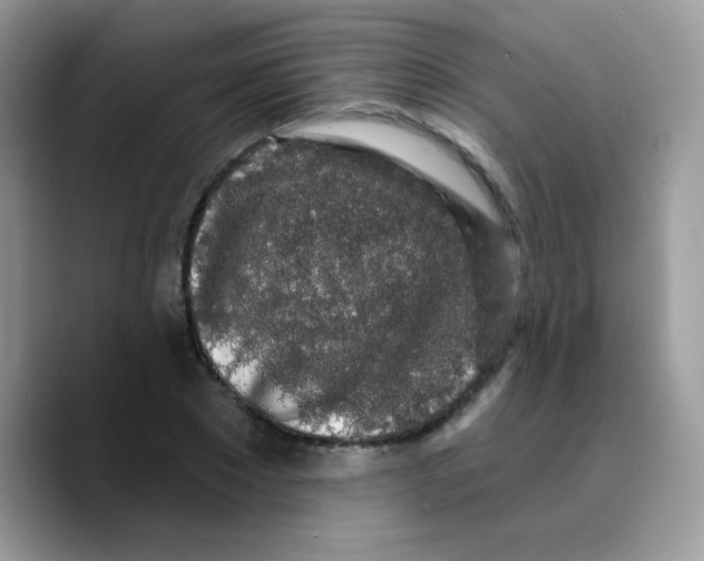 X0000089760881200707201940
