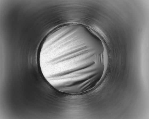 X0000089760884200707201940
